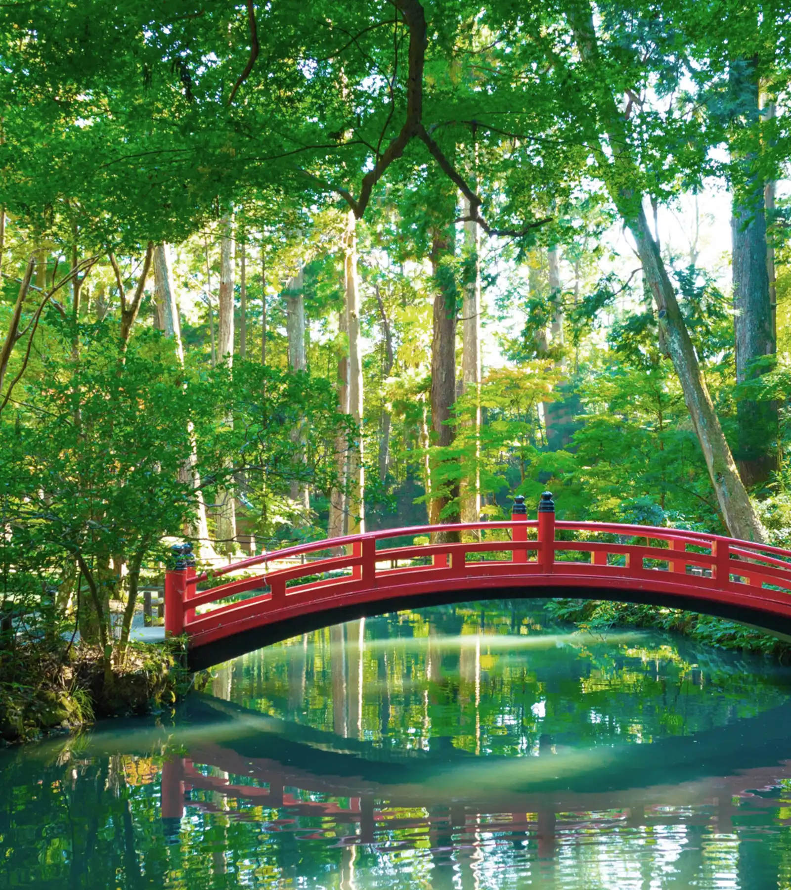 周辺情報・アクセス